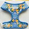 Cocopup Adjustable Neck Harnesses-Amalfi Lemon Adjustable Neck HARNESS