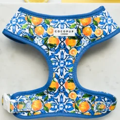 Cocopup Adjustable Neck Harnesses-Amalfi Lemon Adjustable Neck HARNESS