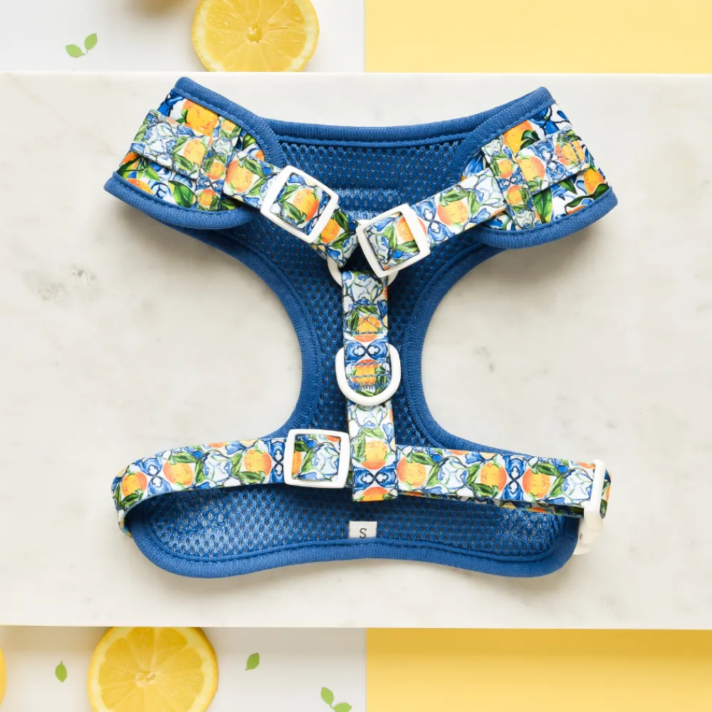 Cocopup Adjustable Neck Harnesses-Amalfi Lemon Adjustable Neck HARNESS