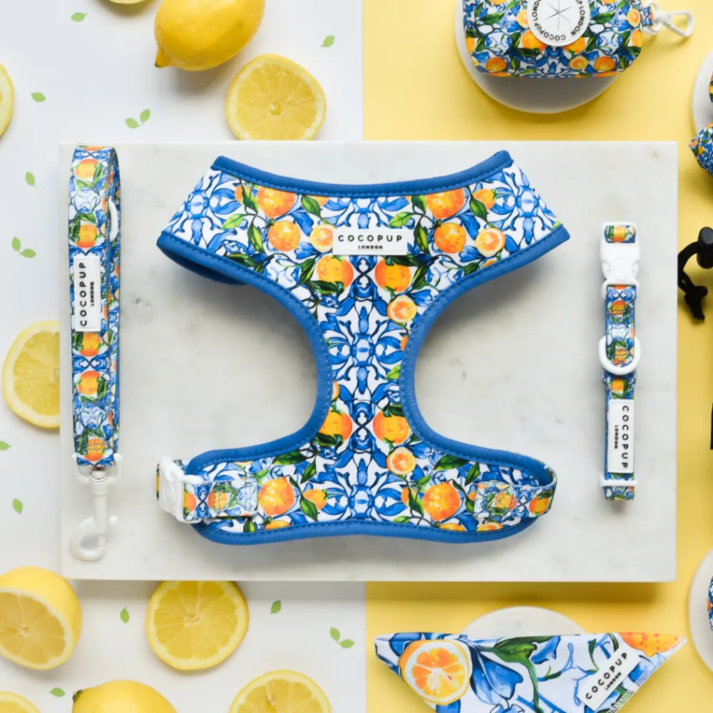 Cocopup Adjustable Neck Harnesses-Amalfi Lemon Adjustable Neck HARNESS