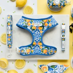 Cocopup Collars | Puppy Leads & Collars-Amalfi Lemon COLLAR