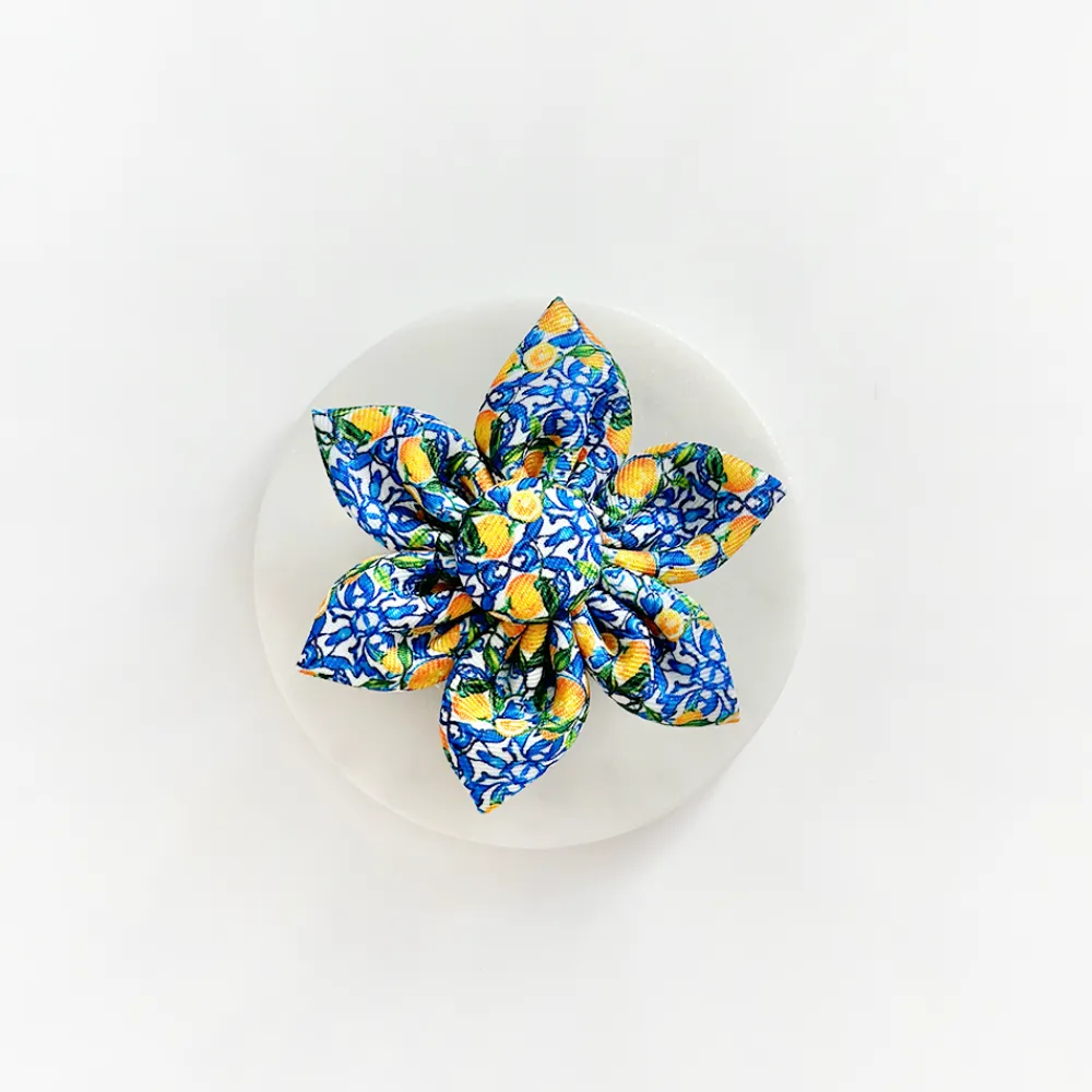 Cocopup Collar Flowers-Amalfi Lemon Collar Flower
