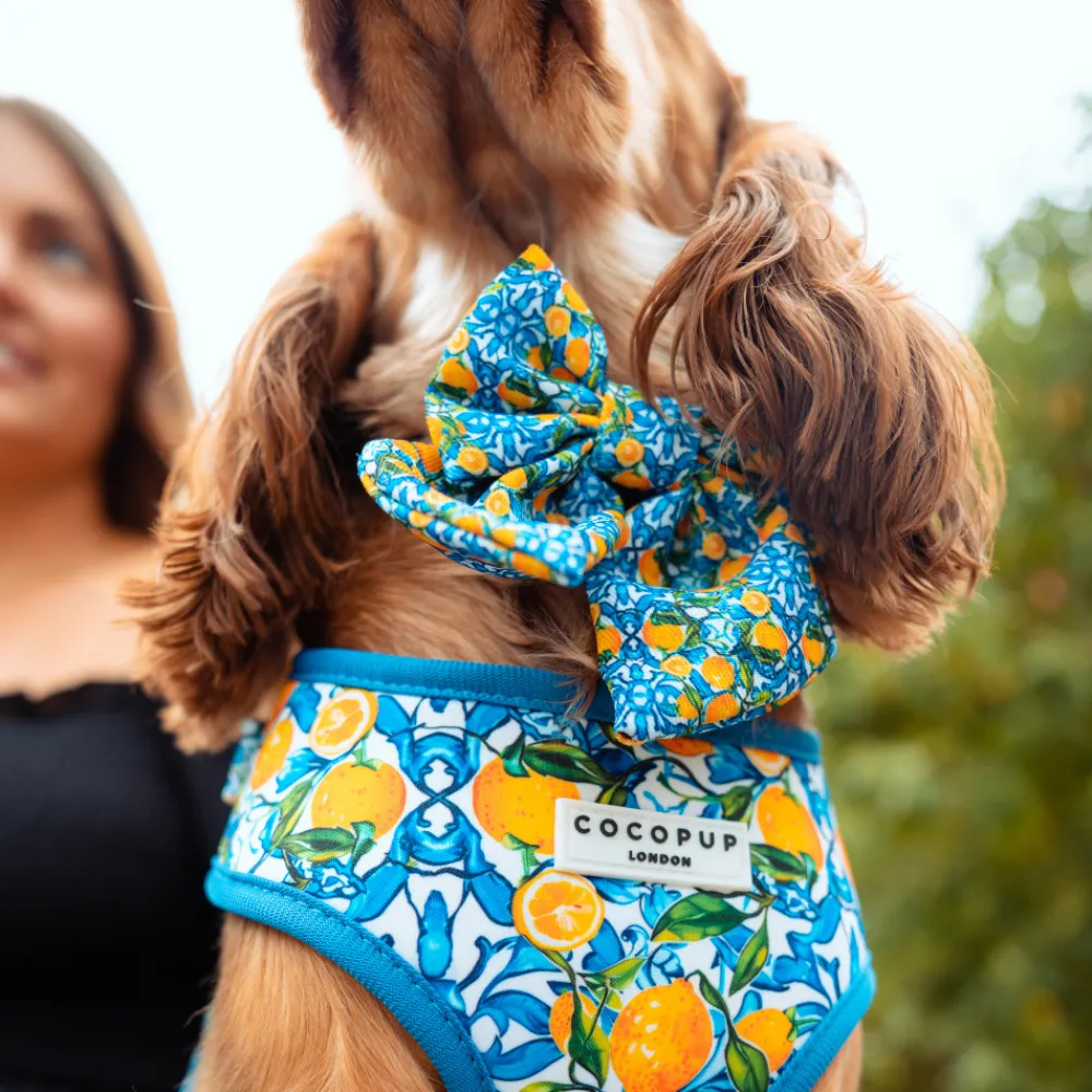 Cocopup Sailor Bow Ties-Amalfi Lemon Sailor Bow Tie