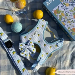 Cocopup Bag Straps-Bag Strap - Living La Vida Lemon