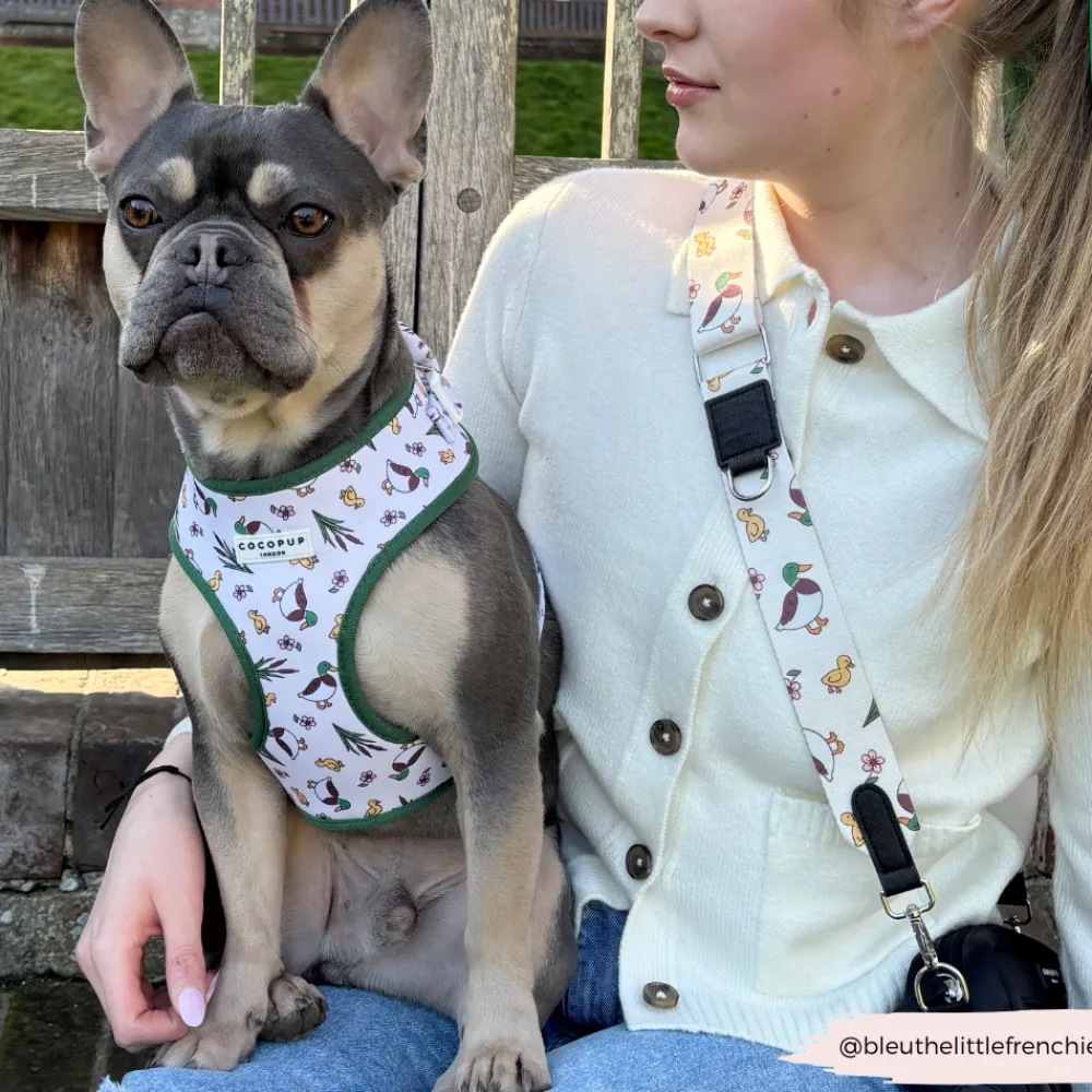 Cocopup Bag Straps-Bag Strap - Puddle Pup