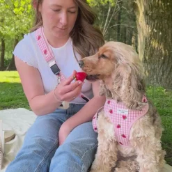Cocopup Bag Straps-Bag Strap - Strawberry Picnic Pup