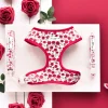 Cocopup Adjustable Harness Bundles-Barkquet of Roses Adjustable Neck Harness, Lead & Collar Bundle