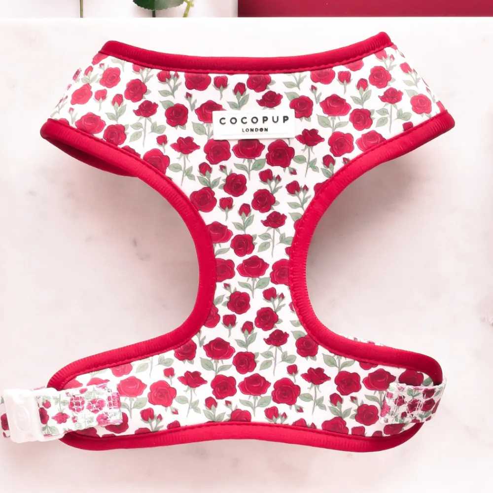 Cocopup Adjustable Harness Bundles-Barkquet of Roses Adjustable Neck Harness, Lead & Collar Bundle