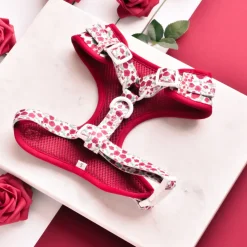 Cocopup Adjustable Harness Bundles-Barkquet of Roses Adjustable Neck Harness, Lead & Collar Bundle