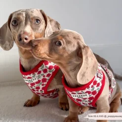 Cocopup Adjustable Neck Harnesses-Barkquet of Roses Adjustable Neck HARNESS