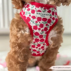 Cocopup Adjustable Neck Harnesses-Barkquet of Roses Adjustable Neck HARNESS