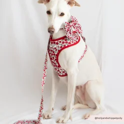 Cocopup Adjustable Neck Harnesses-Barkquet of Roses Adjustable Neck HARNESS