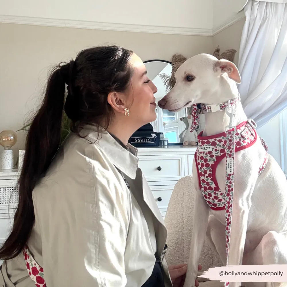 Cocopup Adjustable Harness Bundles-Barkquet of Roses Adjustable Neck Harness, Lead & Collar Bundle
