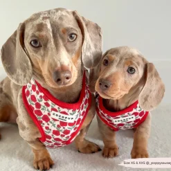 Cocopup Adjustable Neck Harnesses-Barkquet of Roses Adjustable Neck HARNESS