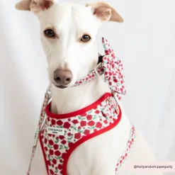 Cocopup Collars | Puppy Leads & Collars-Barkquet of Roses COLLAR