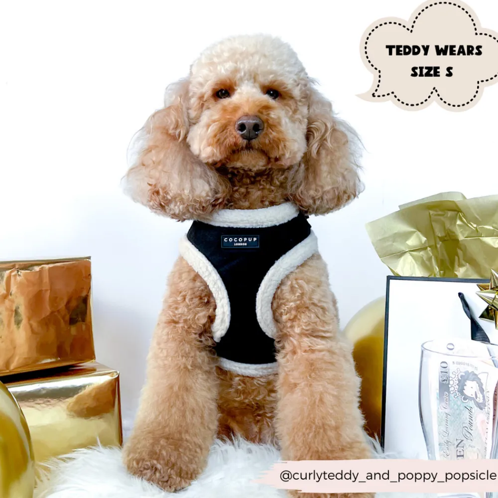 Cocopup Adjustable Neck Harnesses-Black Aviator Adjustable Neck HARNESS