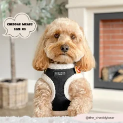 Cocopup Adjustable Neck Harnesses-Black Aviator Adjustable Neck HARNESS