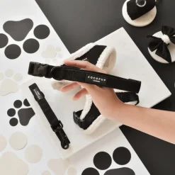 Cocopup Collars | Puppy Leads & Collars-Black Aviator COLLAR