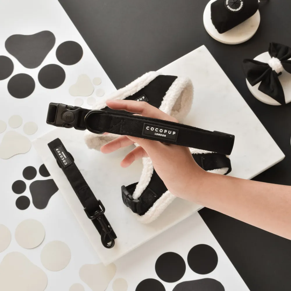 Cocopup Collars | Puppy Leads & Collars-Black Aviator COLLAR
