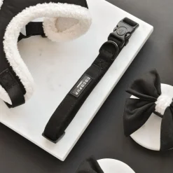 Cocopup Collars | Puppy Leads & Collars-Black Aviator COLLAR