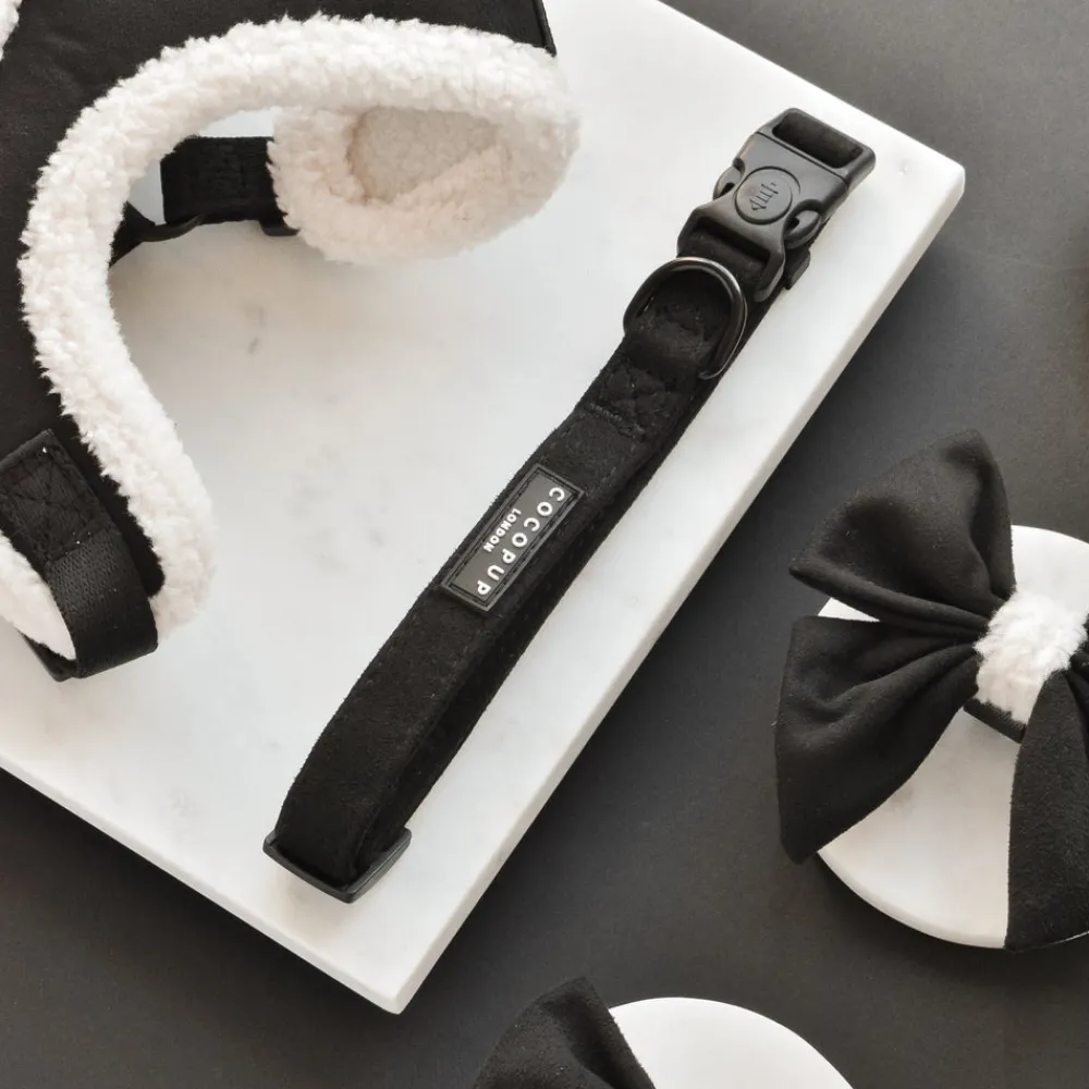 Cocopup Collars | Puppy Leads & Collars-Black Aviator COLLAR