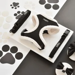 Cocopup Collars | Puppy Leads & Collars-Black Aviator COLLAR