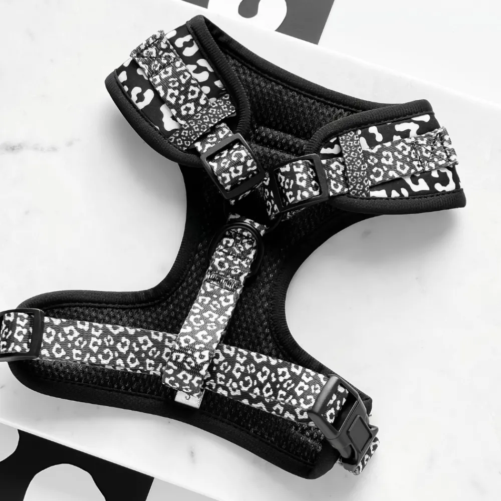 Cocopup Adjustable Neck Harnesses-Black Leopard Adjustable Neck HARNESS