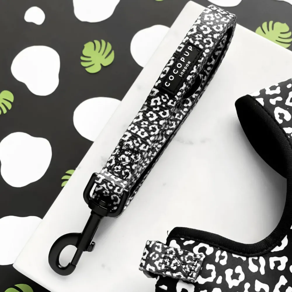 Cocopup Leads | Puppy Leads & Collars-Black Leopard Lead - Puppy