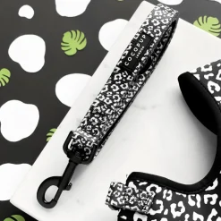 Cocopup Puppy Leads & Collars | Puppy Lead & Collar Sets-Black Leopard Puppy Lead & Collar Set