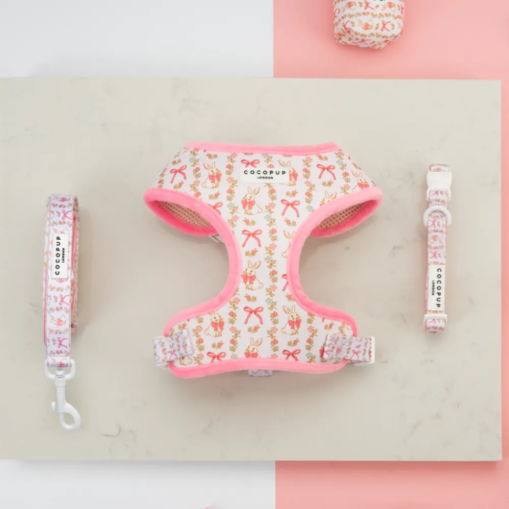 Cocopup Adjustable Harness Bundles-Bow-tiful Bunny Adjustable Neck Harness, Lead & Collar Bundle