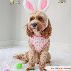 Cocopup Adjustable Harness Bundles-Bow-tiful Bunny Adjustable Neck Harness, Lead & Collar Bundle
