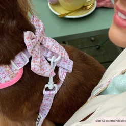 Cocopup Leads-Bow-tiful Bunny Lead