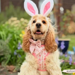 Cocopup Sailor Bow Ties-Bow-tiful Bunny Sailor Bow Tie