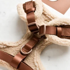 Cocopup Adjustable Neck Harnesses-Brown Aviator Adjustable Neck HARNESS
