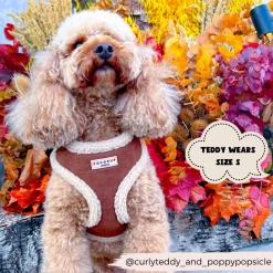 Cocopup Adjustable Harness Bundles-Brown Aviator Adjustable Neck Harness, Lead & Collar Bundle
