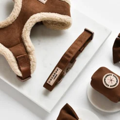 Cocopup Collars | Puppy Leads & Collars-Brown Aviator COLLAR