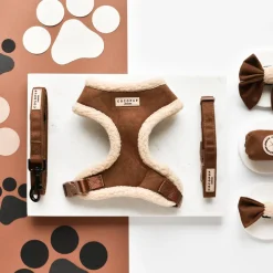 Cocopup Collars | Puppy Leads & Collars-Brown Aviator COLLAR
