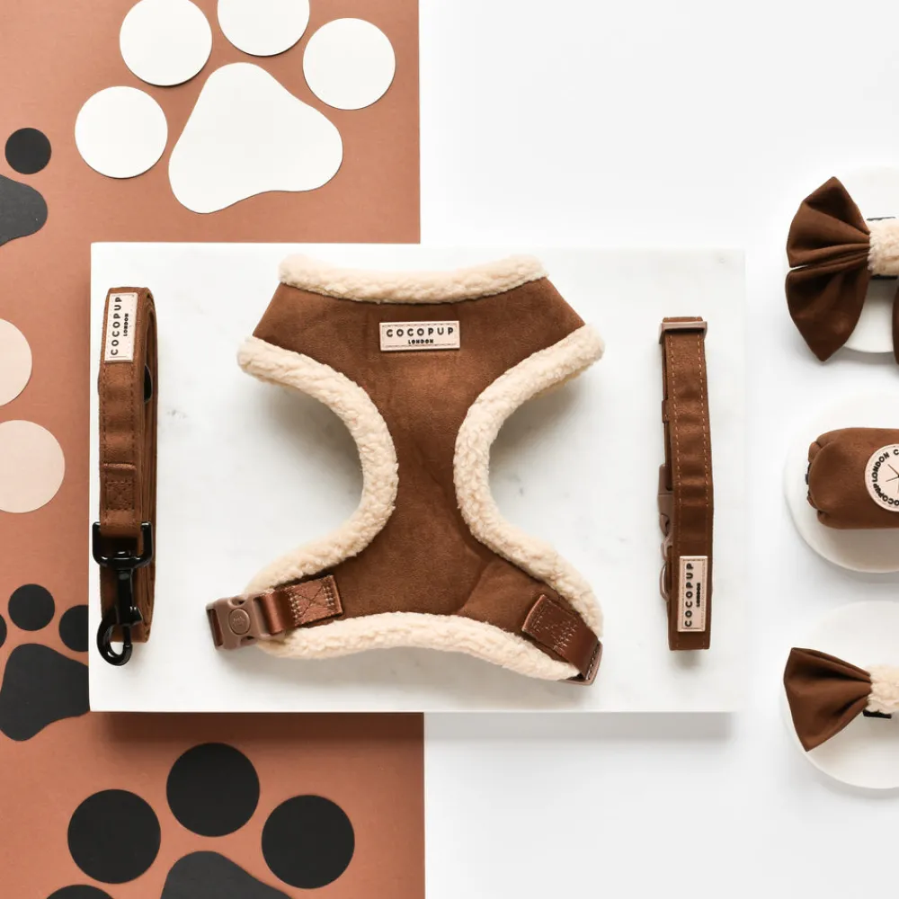 Cocopup Collars | Puppy Leads & Collars-Brown Aviator COLLAR