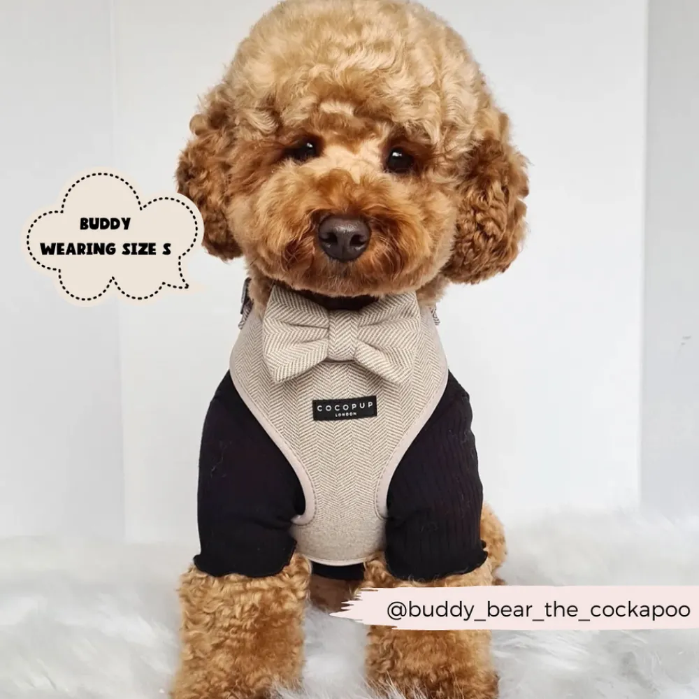 Cocopup Adjustable Neck Harnesses-Brown Tweed Adjustable Neck HARNESS