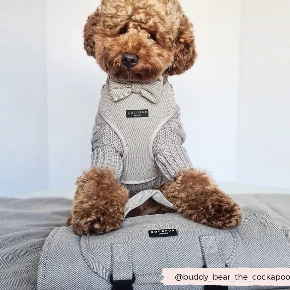 Cocopup Adjustable Neck Harnesses-Brown Tweed Adjustable Neck HARNESS