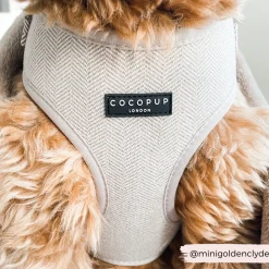 Cocopup Adjustable Neck Harnesses-Brown Tweed Adjustable Neck HARNESS