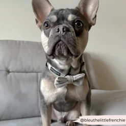 Cocopup Bow Ties-Brown Tweed Bow Tie