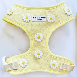 Cocopup Adjustable Neck Harnesses-Buttercup Pup Adjustable Neck HARNESS
