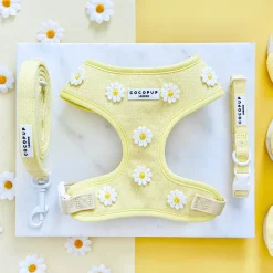 Cocopup Adjustable Harness Bundles-Buttercup Pup Adjustable Neck Harness, Lead & Collar Bundle