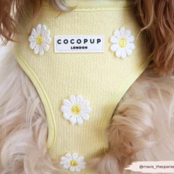 Cocopup Adjustable Neck Harnesses-Buttercup Pup Adjustable Neck HARNESS