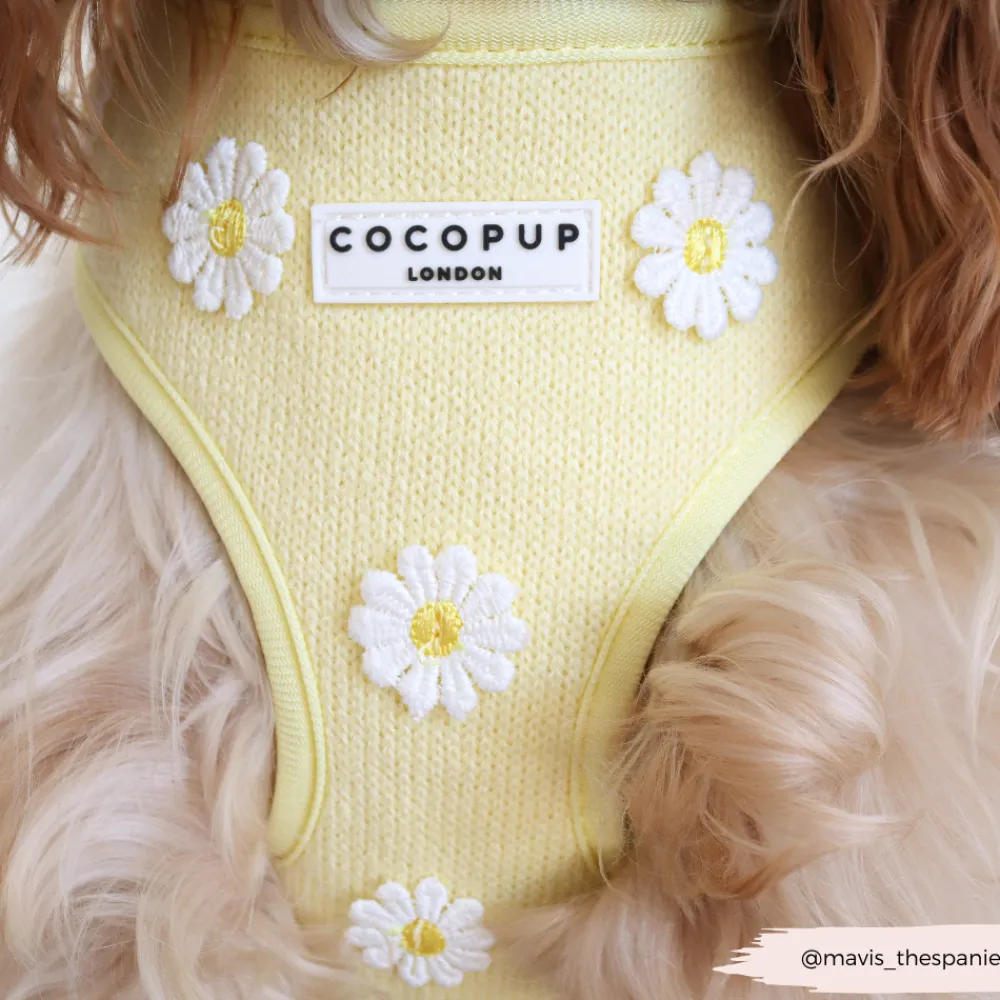 Cocopup Adjustable Neck Harnesses-Buttercup Pup Adjustable Neck HARNESS