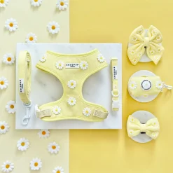 Cocopup Adjustable Harness Bundles-Buttercup Pup Adjustable Neck Harness, Lead & Collar Bundle