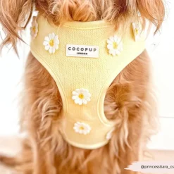 Cocopup Adjustable Neck Harnesses-Buttercup Pup Adjustable Neck HARNESS
