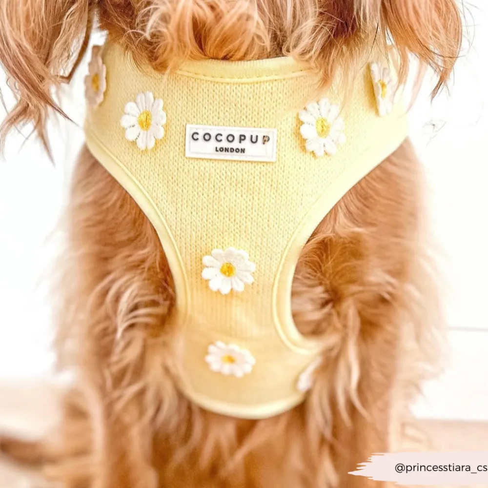 Cocopup Adjustable Neck Harnesses-Buttercup Pup Adjustable Neck HARNESS