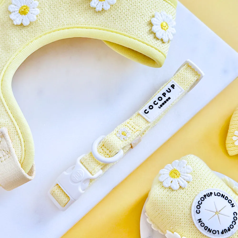 Cocopup Collars | Puppy Leads & Collars-Buttercup Pup COLLAR
